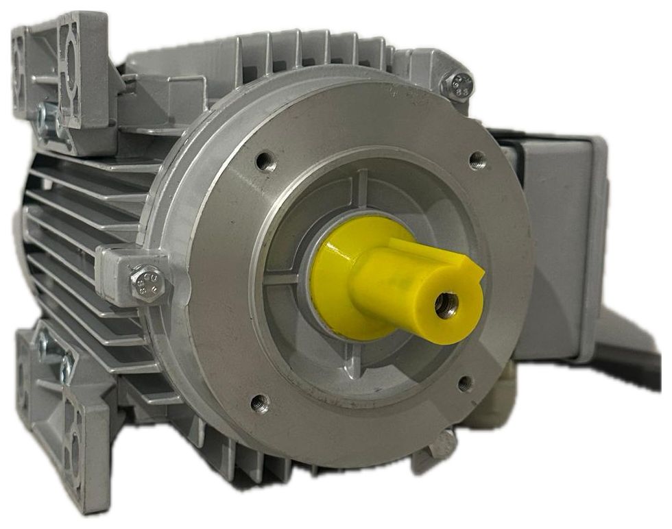 Motore elettrico 1,1kw Trifase per pompe latte FMP110  ALFA LAVAL/DeLaval