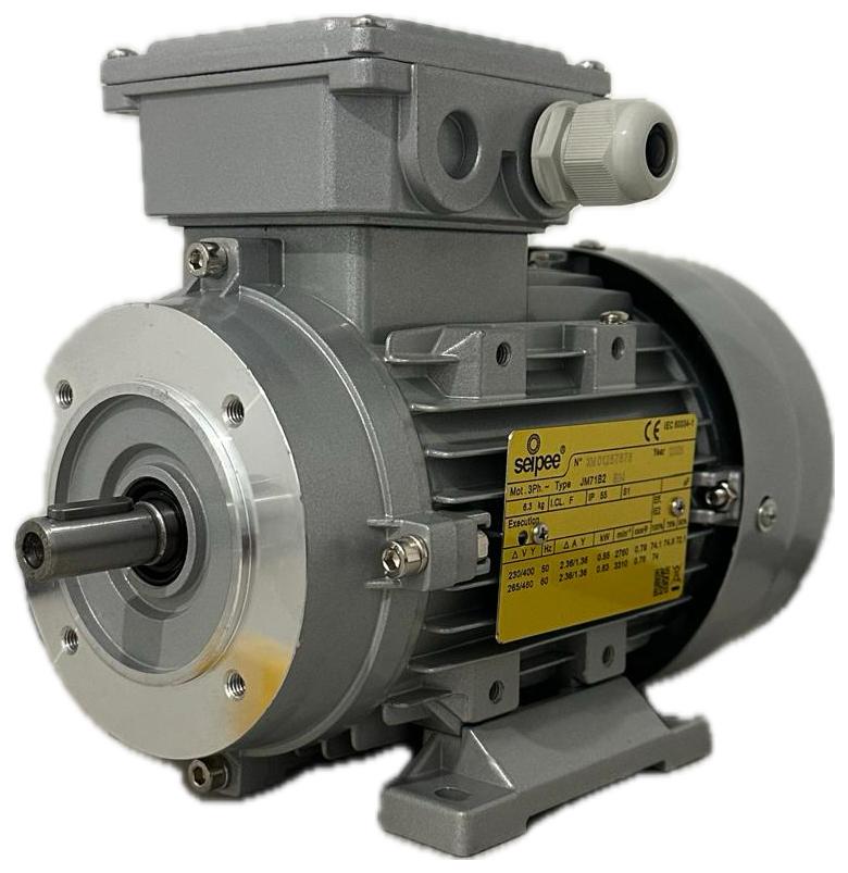 Motore elettrico 1,1kw Trifase per pompe latte FMP110  ALFA LAVAL/DeLaval