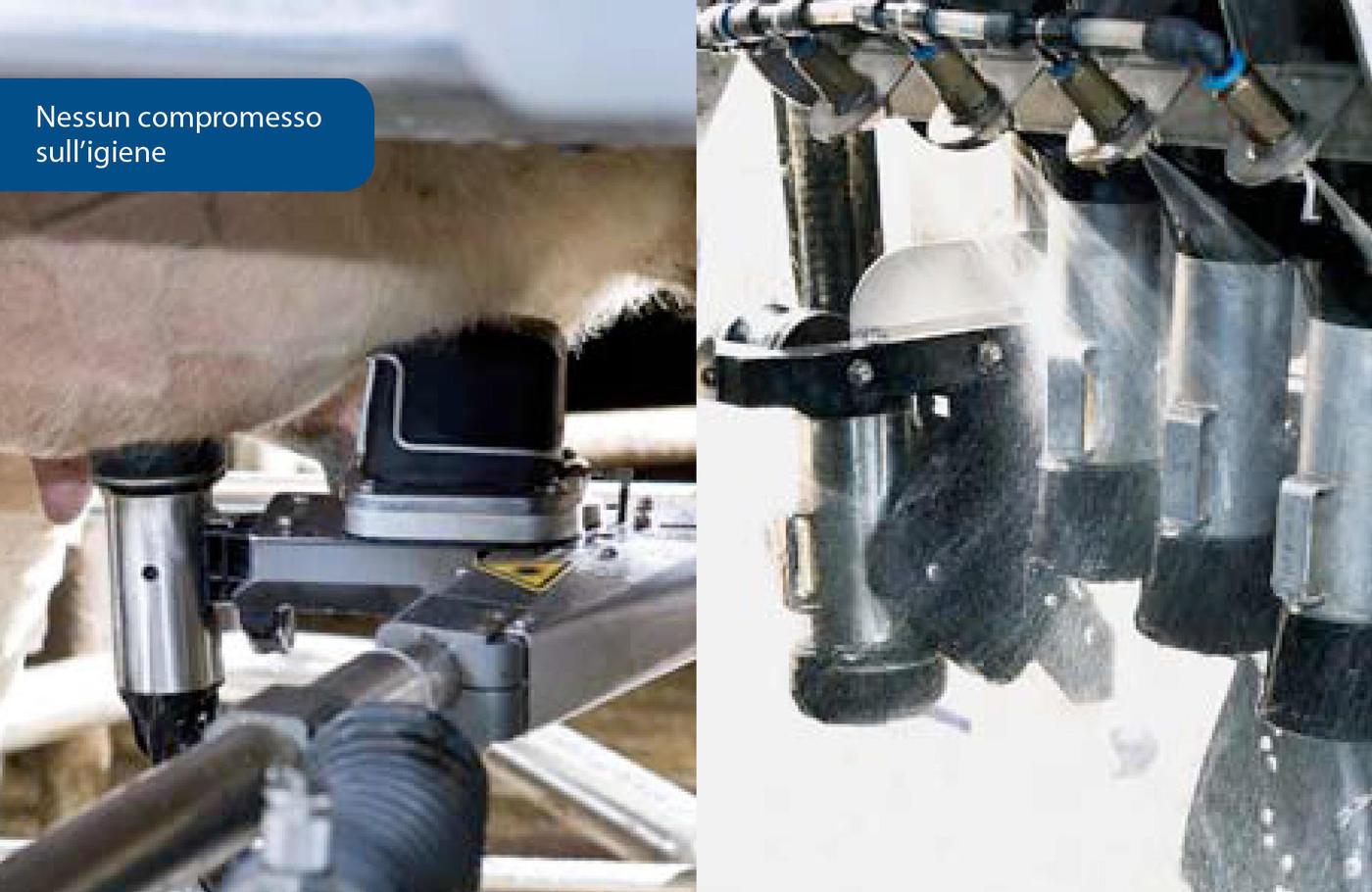Testa in gomma coppetta lavaggio VMS Classic DeLaval