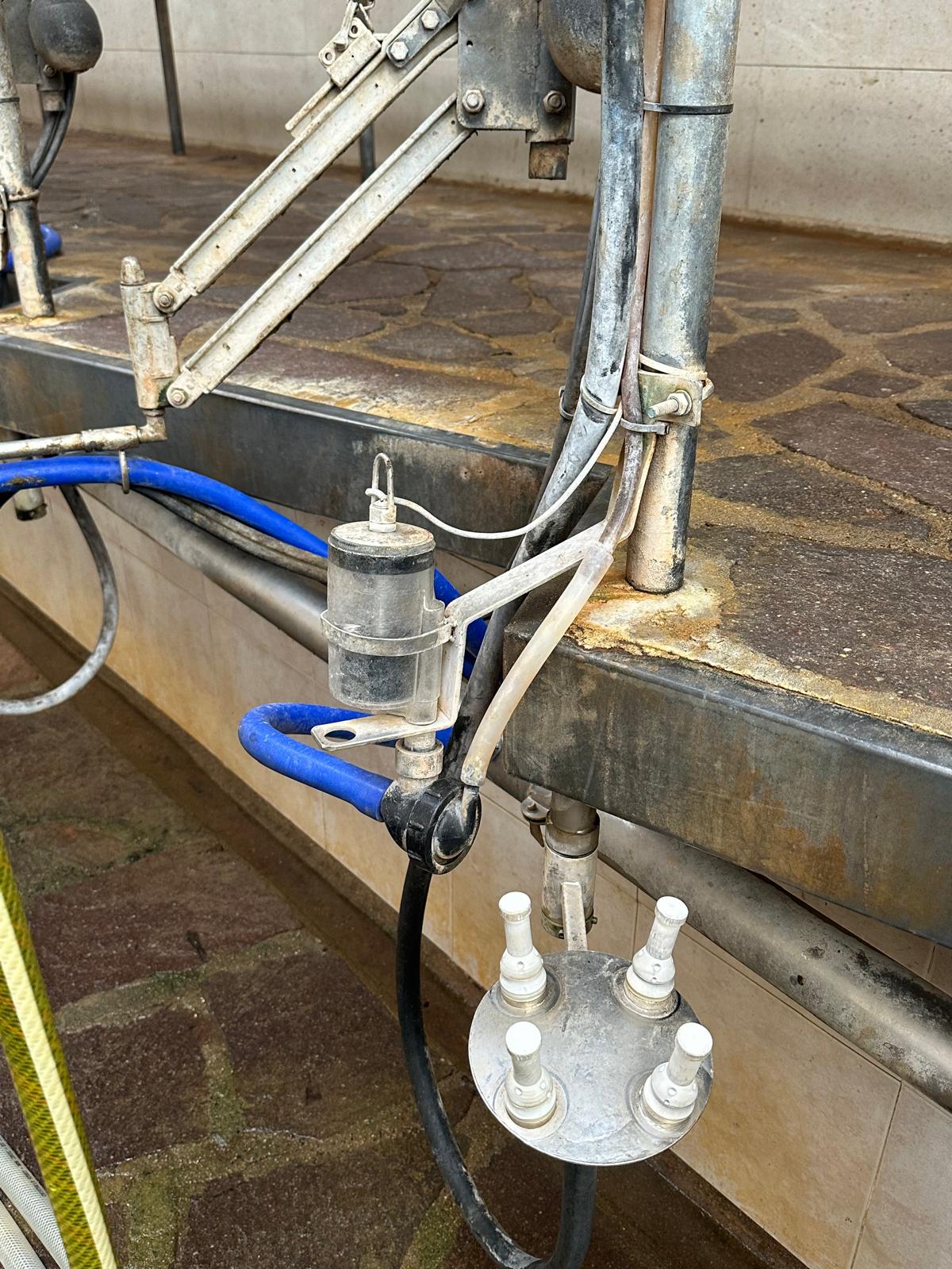 Membrana in silicone valvola latte sala mungitura Tecnozoo