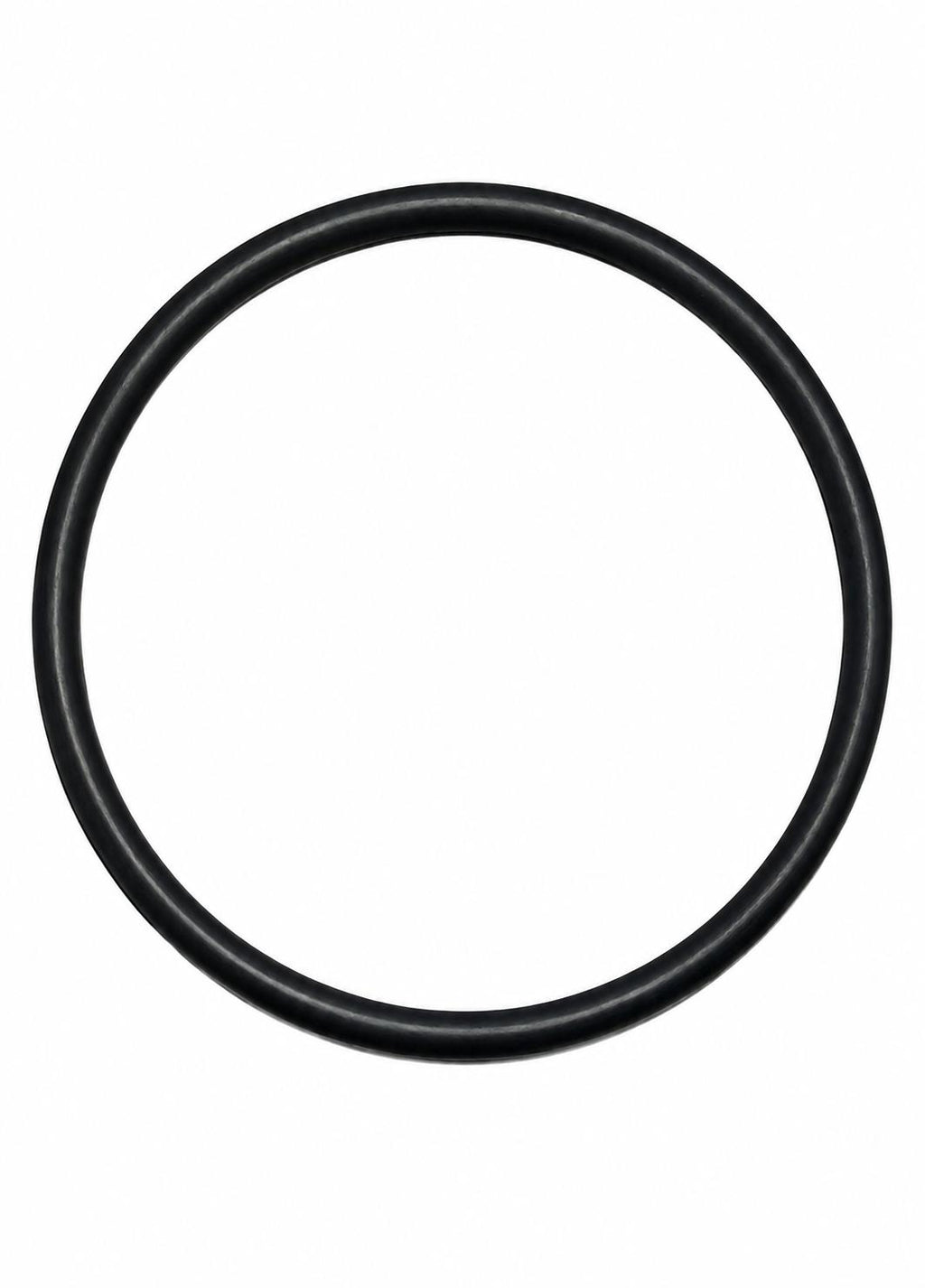 Guarnizione rotonda per vaso terminale vetro ALFA LAVAL/DeLaval