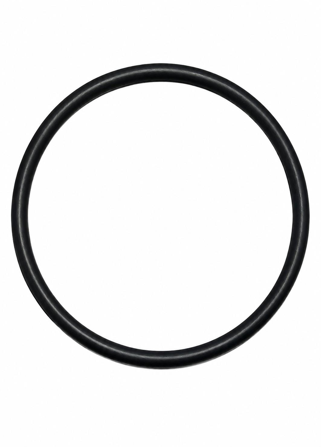 Guarnizione rotonda per vaso terminale vetro ALFA LAVAL/DeLaval