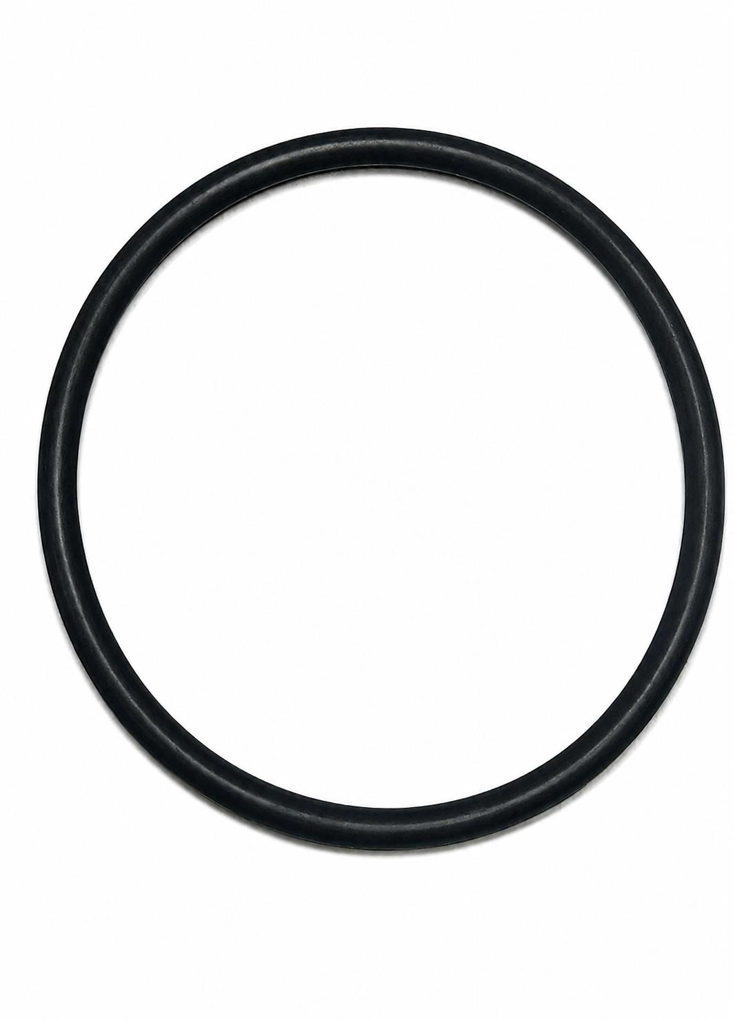 Guarnizione rotonda per vaso terminale vetro ALFA LAVAL/DeLaval