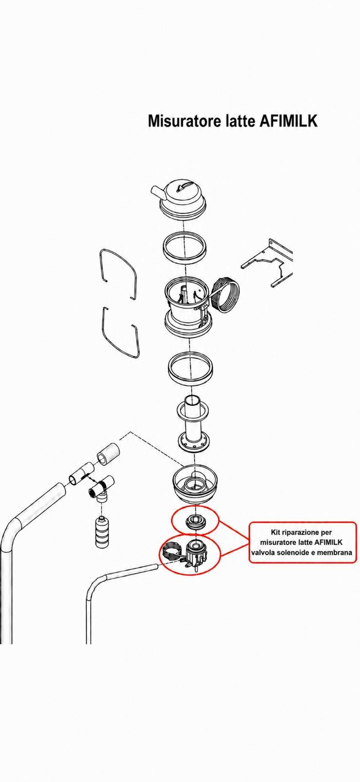Kit riparazione per misuratore latte AFIMILK valvola solenoide e membrana