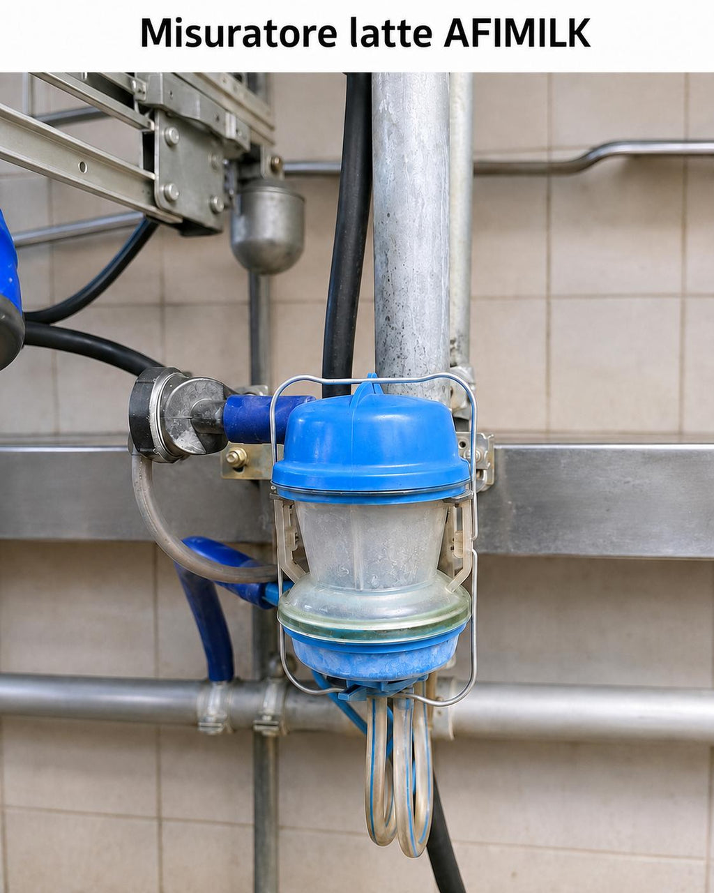 Kit riparazione per misuratore latte AFIMILK valvola solenoide e membrana