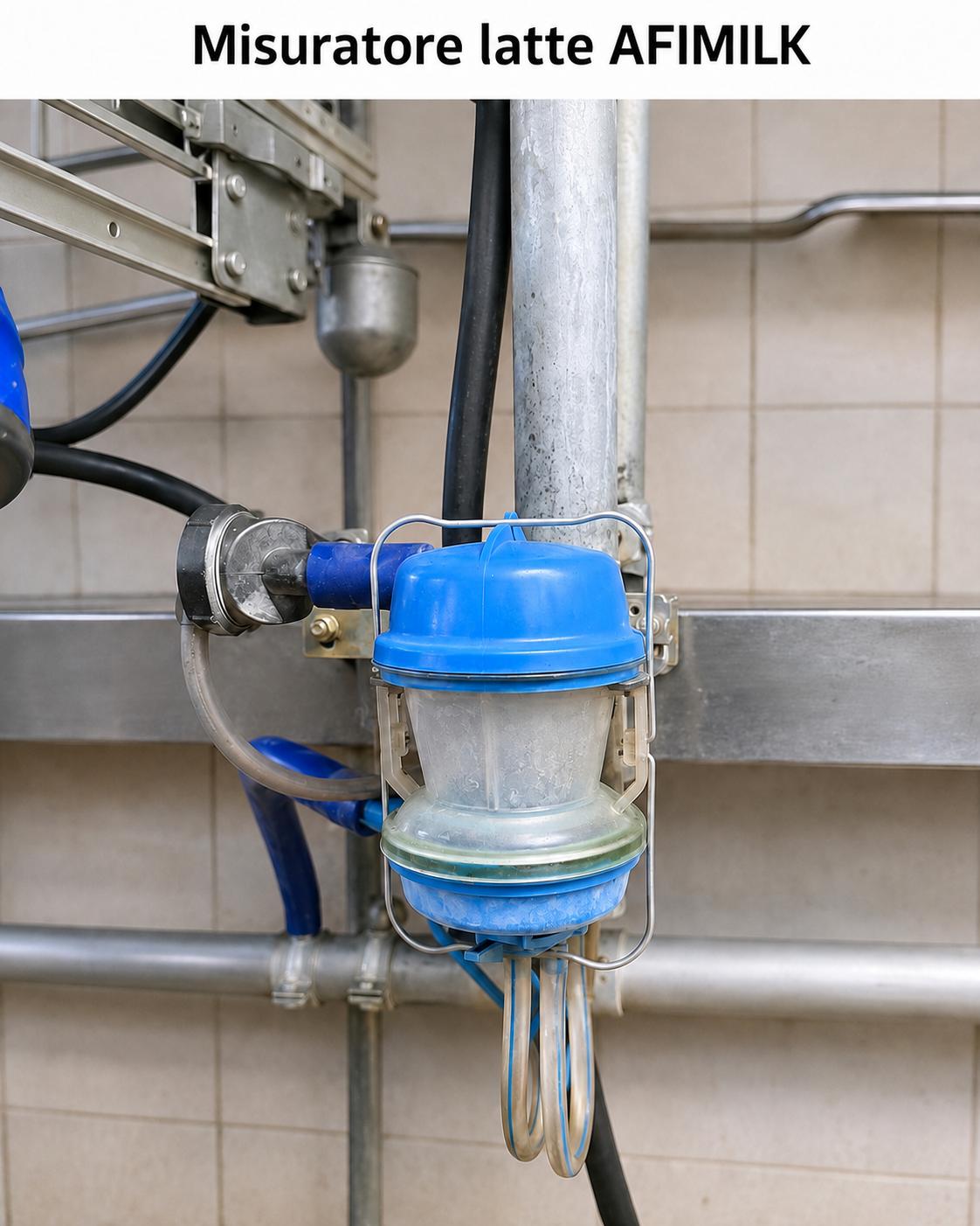 Kit riparazione per misuratore latte AFIMILK valvola solenoide e membrana