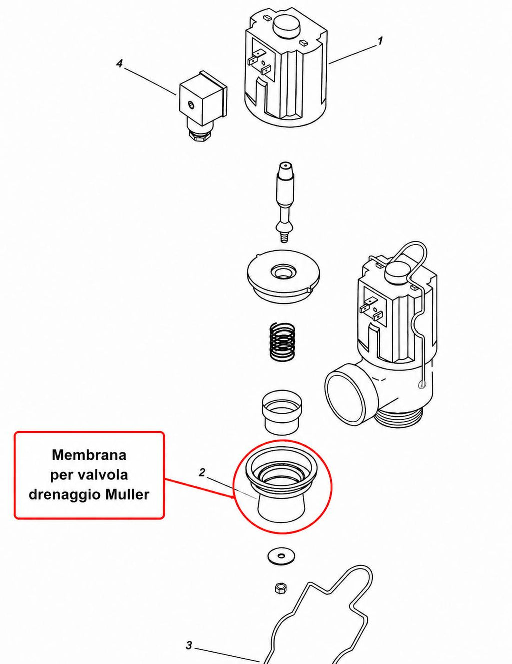 Membrana Muller per valvola drenaggio DeLaval/Japy/Packo/Serap/TDM/Tecnozoo